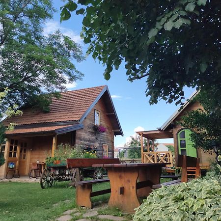 Apartments Vila Selena - Golija Rudno Екстер'єр фото