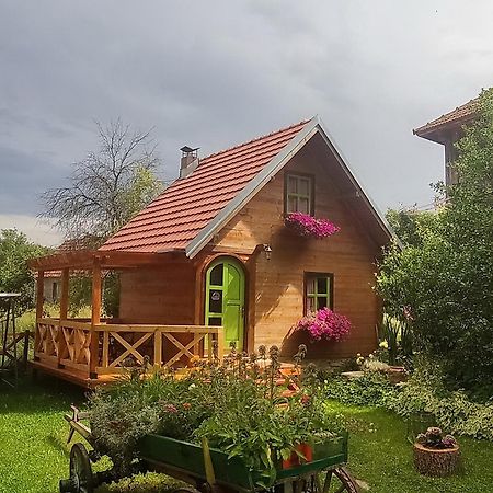 Apartments Vila Selena - Golija Rudno Екстер'єр фото