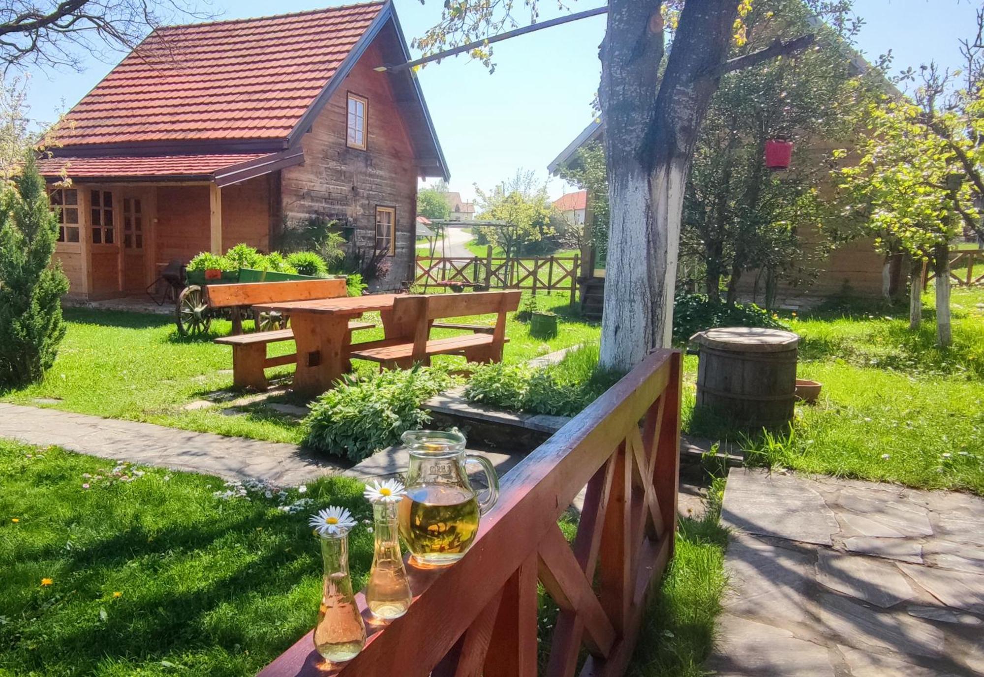 Apartments Vila Selena - Golija Rudno Екстер'єр фото