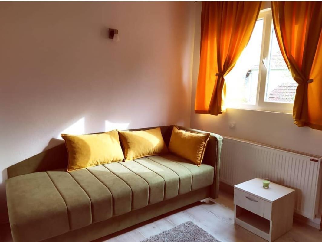 Apartments Vila Selena - Golija Rudno Екстер'єр фото