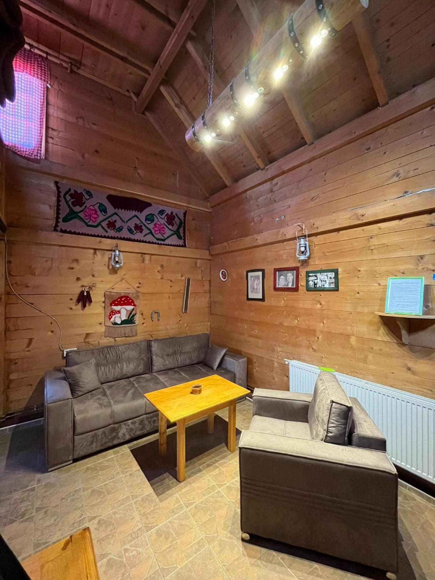 Apartments Vila Selena - Golija Rudno Екстер'єр фото