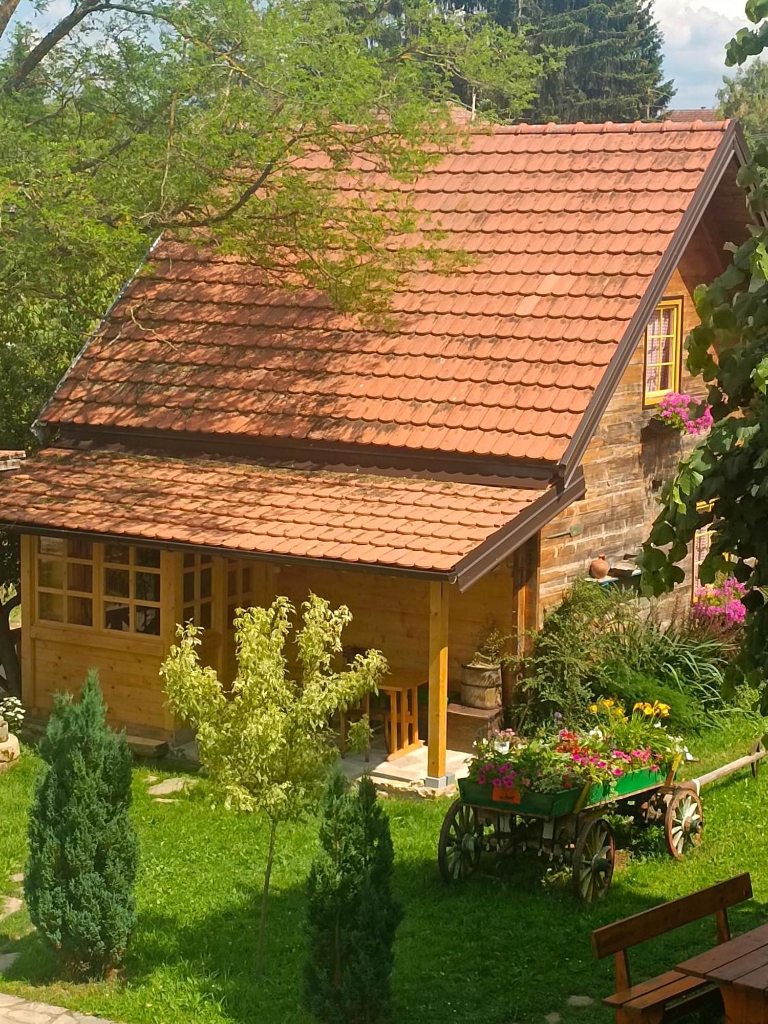 Apartments Vila Selena - Golija Rudno Екстер'єр фото