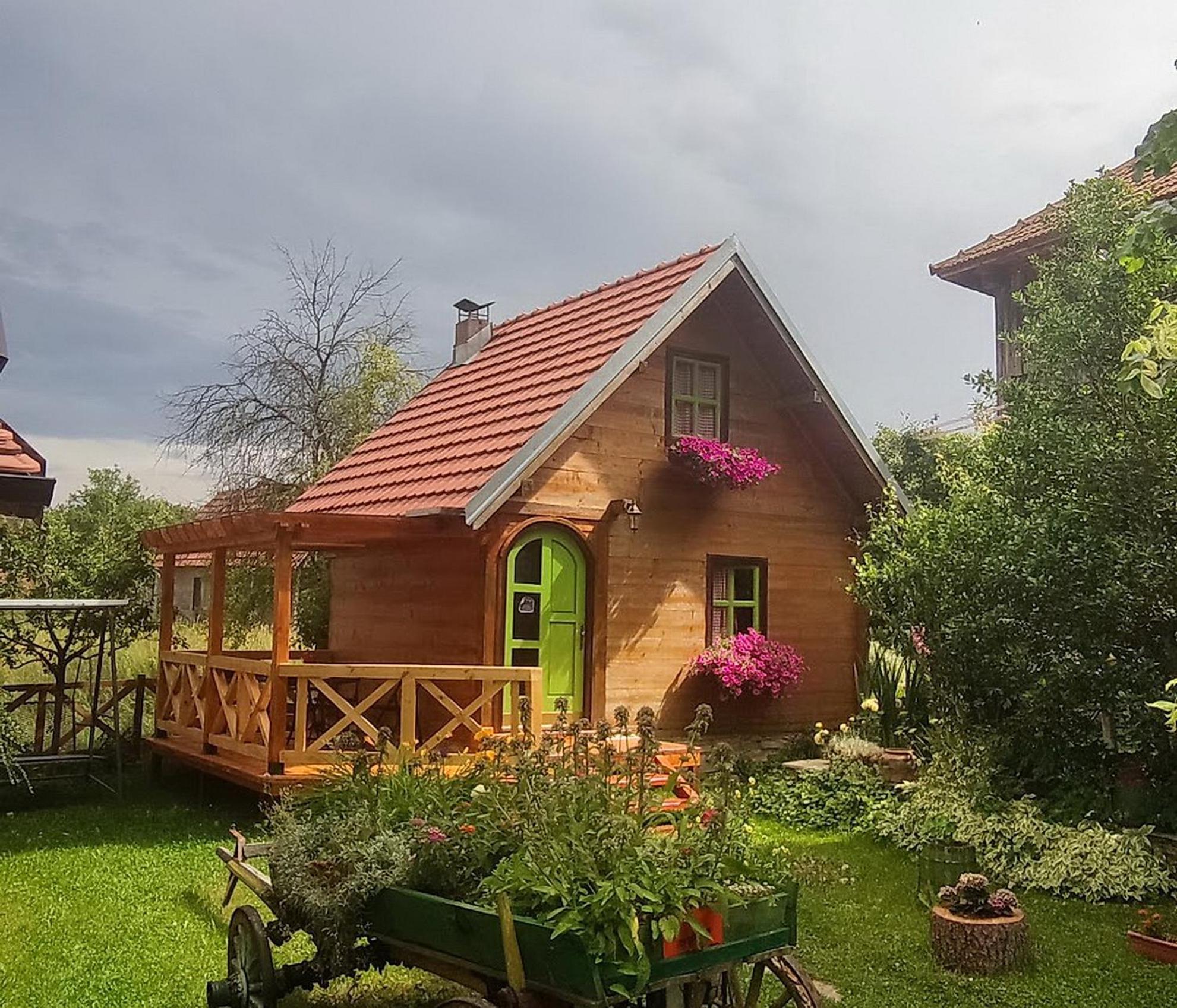 Apartments Vila Selena - Golija Rudno Екстер'єр фото