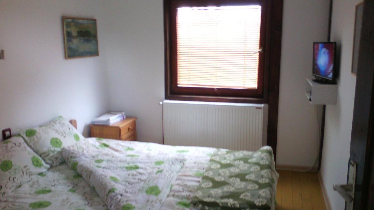 Apartments Vila Selena - Golija Rudno Екстер'єр фото