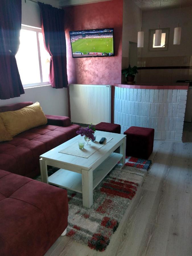 Apartments Vila Selena - Golija Rudno Екстер'єр фото