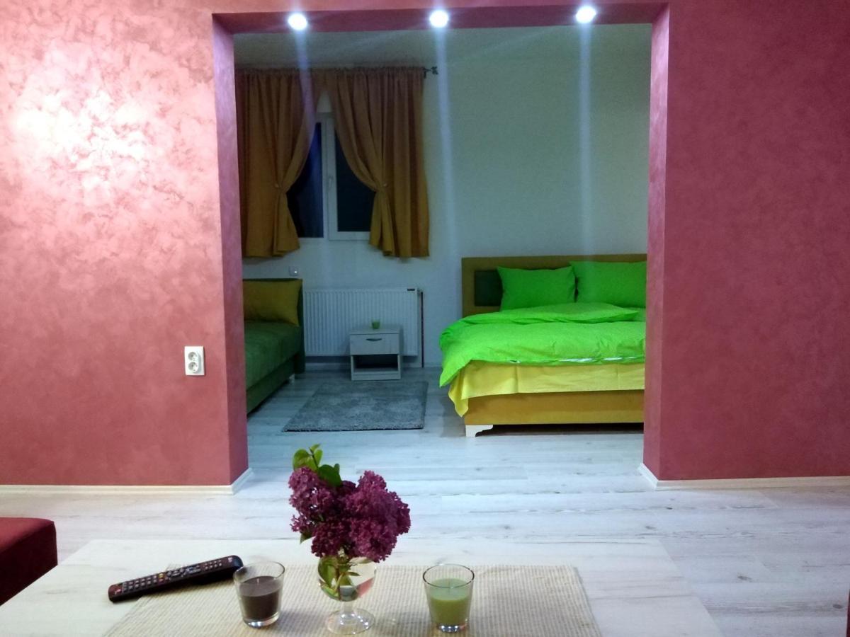 Apartments Vila Selena - Golija Rudno Екстер'єр фото
