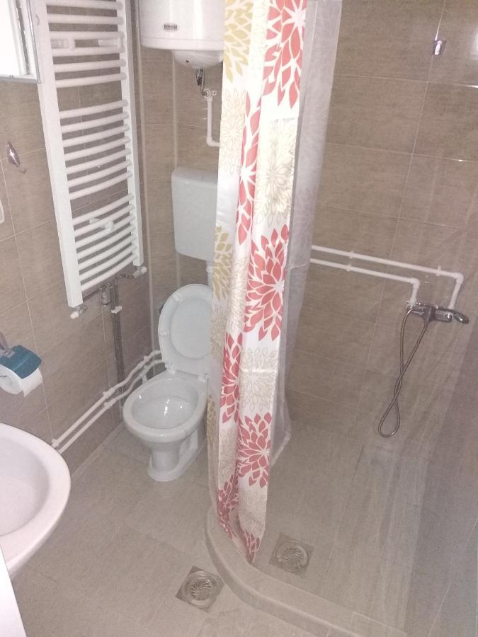 Apartments Vila Selena - Golija Rudno Екстер'єр фото