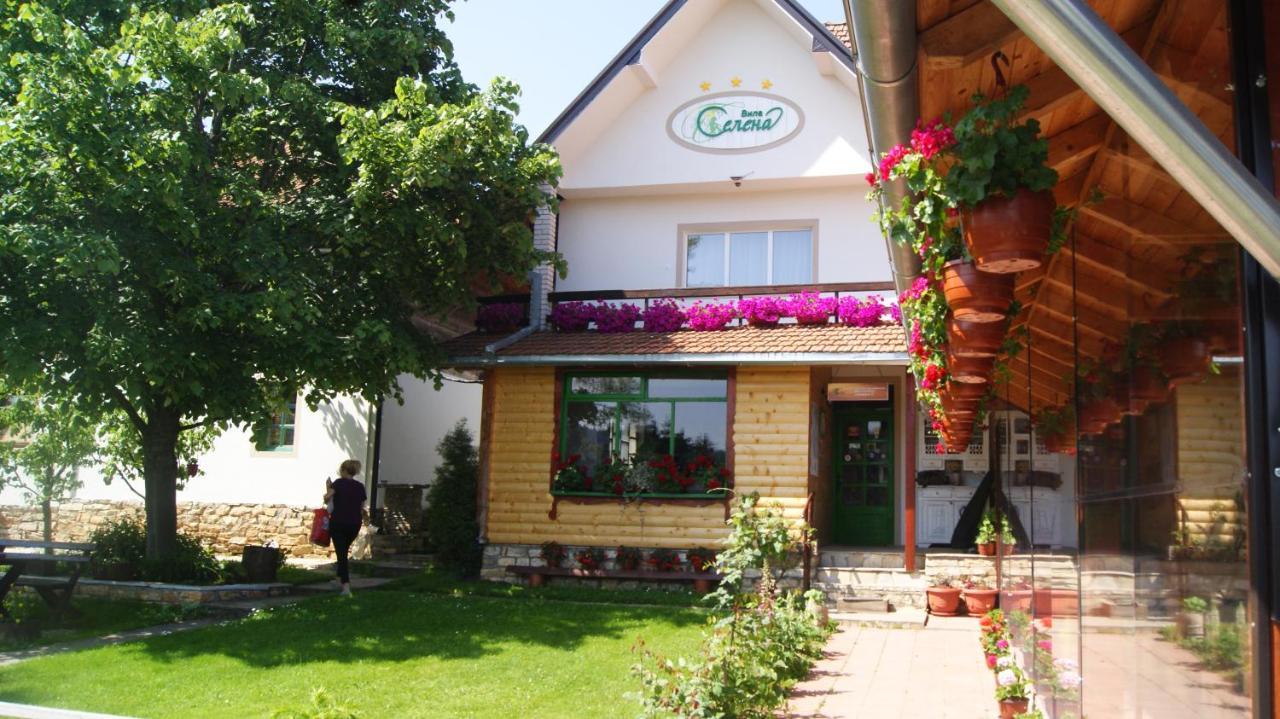 Apartments Vila Selena - Golija Rudno Екстер'єр фото